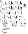 Tregs alter alveolar cytokine profiles after LPS-induced lung injury.