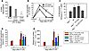 Tregs facilitate alveolar neutrophil clearance in vivo and in vitro.