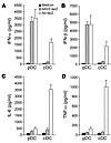 AAV2 mainly stimulates bone marrow–derived pDCs to secrete type I IFNs.