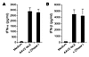 DNase I treatment does not affect the ability of AAV to stimulate pDCs.