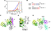 Epitope mapping for R3Mab and crystal structure of the complex between R3Ma