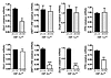 Deletion of Hif2a in the duodenum decreases the expression of genes involve