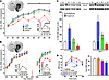 Downregulating PSD-95 in the DA-deprived striatum reduces AIM severity in t