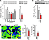 shPSD LV reduces PSD-95 levels in the MPTP-treated macaque.