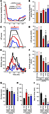 Reducing PSD-95 in the MPTP-treated macaque markedly alleviates dyskinesia.