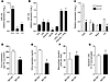 Role of miR-155 in atherogenic macrophage activation.