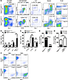 Deletion of Raptor impairs granulocyte and B cell development but does not