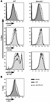 Changes in costimulatory molecule (CD40, OX40L, and B7-DC) but not CD1d/gly