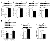 Changes in glucose and glutamate transporters in response to NeoON.