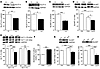 Leptin-induced modifications in glucose and glutamate transporters.