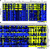 WNT5A is upregulated as part of a gene signature associated with clinical p