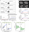 Deriving transport properties of pancreatic tumors from routine CT scans.