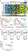 expression for major Notch signaling components in the <span class='sear...