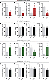 Motor activity in an open field upon Gq-DREADD–mediated activation of iSPNs