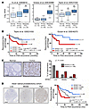 GSE6919, ref. 37; Grasso et al., GSE35988, ref. 38; <span class='search_...