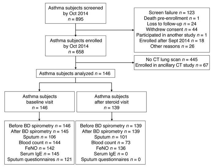 Consort diagram of CT substudy.
Flow chart shows the number of asthma pa...