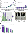 A subset of Cre-targeted mice develop obesity concomitant with increased fa