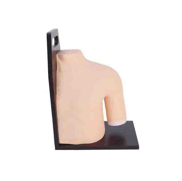 Shoulder Simulator for Joint Injection