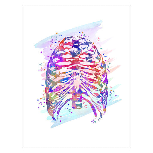 Anatomy Art Print - Rib Cage