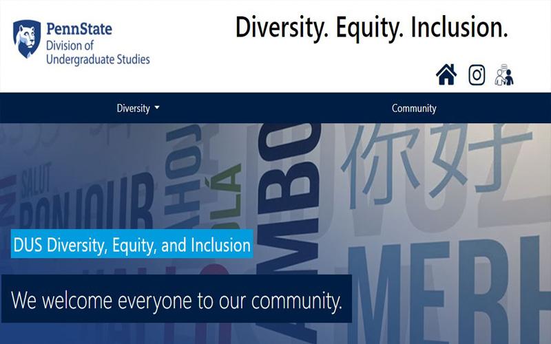 Screenshot of the Diversity, Equity, and Inclusion website.