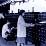 Traditional Library Card Catalog