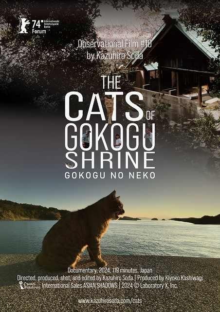 想田和弘監督の観察映画第10弾「五香宮の猫」今秋公開！ ベルリン国際映画祭フォーラム部門に正式出品