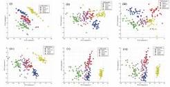 Novel authentication of African geographical coffee types (bean ...