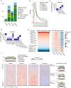 Association between histone modification profiles and gene ...