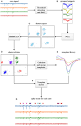 Frontiers | HTsort: Enabling Fast and Accurate Spike Sorting on ...