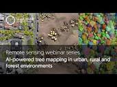 AI powered tree mapping in urban, rural and forest environments ...