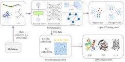 Advances of Deep Learning in Protein Science: A Comprehensive Survey
