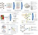 Current and future directions in network biology