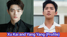 Xu Kai and Yang Yang | Profile, Age, Birthplace, Height ...