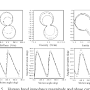 Human hand impedance characteristics during reaching movements. from www.semanticscholar.org