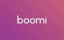 Boomi brightens shadow API sprawl - Techzine Europe