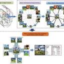 Flowchart of our proposed scheme for multi-label propagation. Step ...