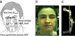 Model free head pose estimation using stereovision | Semantic Scholar