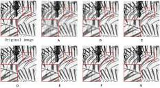 Frontiers | Natural image restoration based on multi-scale group ...
