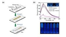 Selected examples of optical chemical sensors for food safety: a ...