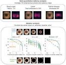 Detecting Signs of Disease from External Images of the Eye