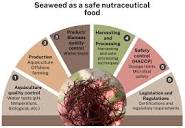 Nutraceuticals | Free Full-Text | Seaweed as a Safe Nutraceutical ...