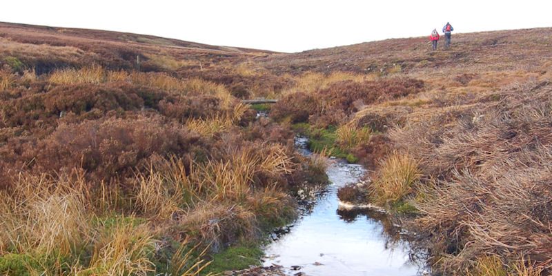 Moors and peatland