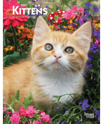 Kittens 2022 6 x 7.75 Inch Spiral-Bound Wire-O Weekly Engagement Planner Calendar New Full-Color Image Every Week Animals Cats Pets