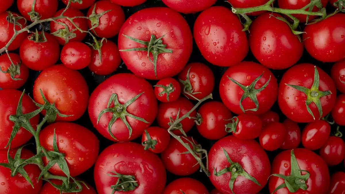 Por qué comer un tomate todos los días es beneficioso: esta es la razón científica probada