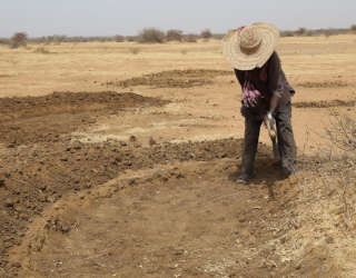 Half-moons work in progress by the participants of the FFA activities. Photo: WFP/Mariama Ali Souley