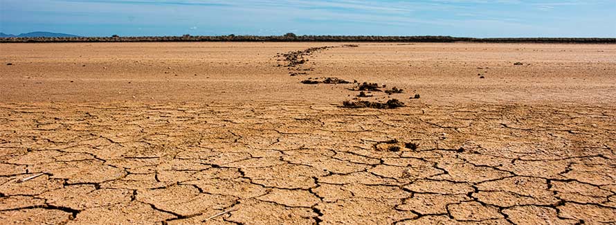 FAPESP participa de Chamada Regional África do Belmont Forum