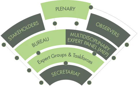 How is IPBES structured?