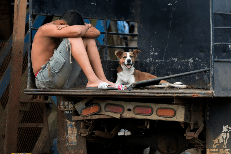 A man wearing only a pair of shorts and slip-on sandals sits on a battered truck bed with his knees legs drawn up and his arms wrapped around his knees. His head leans forward on his arms, face hidden. A dog lies down beside him on the truck bed.