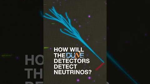 How will the DUNE detectors detect neutrinos?