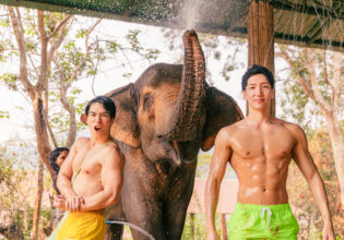 Elephants and muscularmen in chiangmai Thailamd@muscular body stock photos men